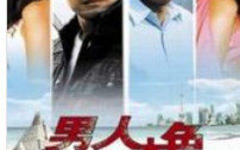 男人本色(2006年何念执导电视剧)