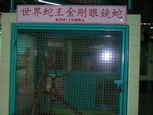 泰国蛇药(泰国的特色特产)