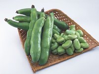 蚕豆(豆科野豌豆属植物)