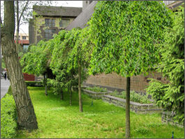 新疆石油学院(工科高等院校)