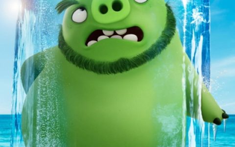 愤怒的小鸟2(美国2019年图罗普·范·奥尔曼等人联合执导的电影)