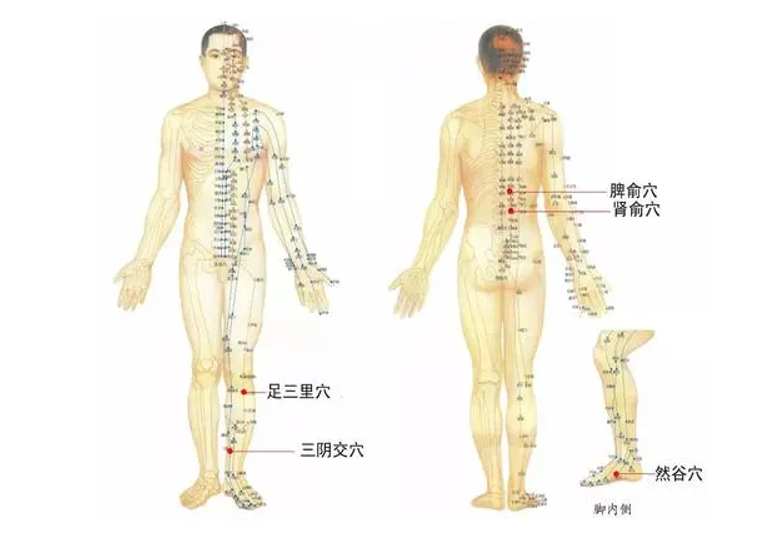 艾灸穴位(中医专业术语)