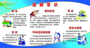 急救常识(基本医学知识)