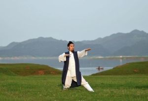 四两拨千斤(武术技法术语)