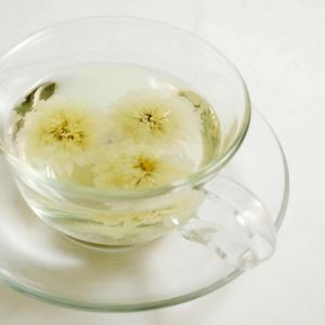 黄山贡菊(黄山特产)