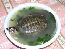 甲鱼汤(以甲鱼为食材的菜肴)