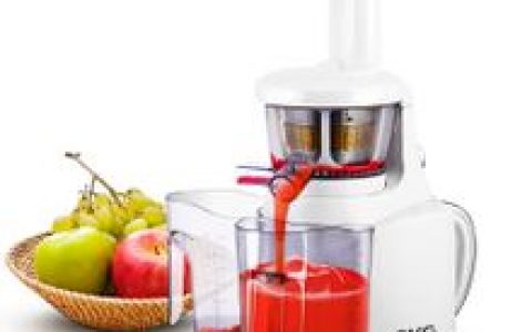 skg榨汁机(将果蔬快速榨成果蔬汁的机器)