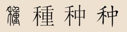 种姓(中华姓氏)