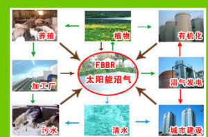 沼气(可燃气体)