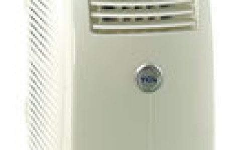 TCL移动空调(TCL集团与意大利德龙公司合资建厂生产)