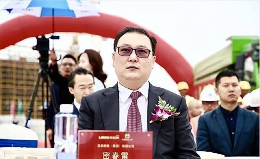 密春雷(览海控股集团董事长)