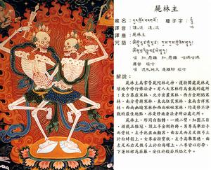 尸陀林(藏族风俗)