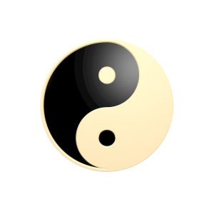 两仪派(清朝初期道家修士铁版道人创立的派别)