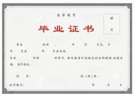 证书(证明资格或权力的文件)