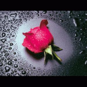 著作权保护(法律术语)
