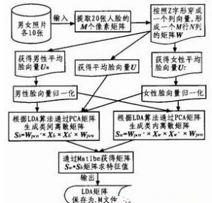 平均脸(某一群体的合成性容貌)