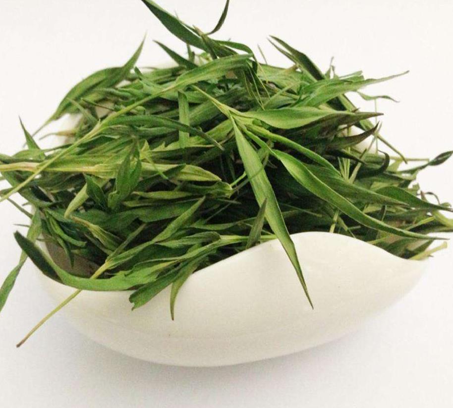 淡竹叶(禾本科植物)
