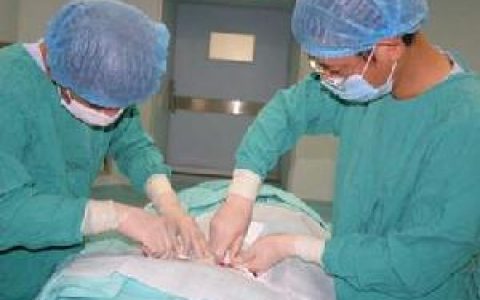 胸外科(外科治疗)