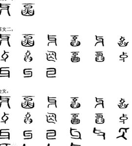 牙(人体器官)