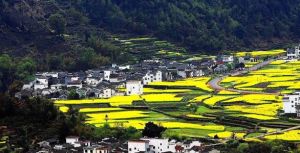 新农村建设政策(国务院颁布的乡村建设政策)