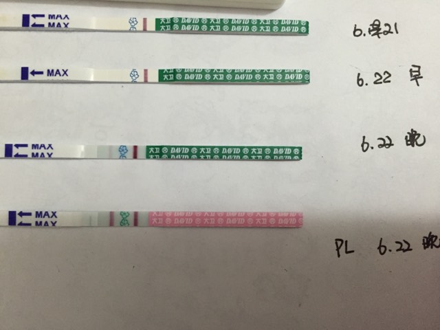 早早孕试纸(身体检测产品)