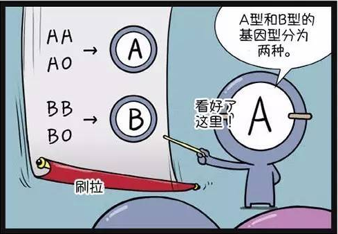血型遗传规律表(已知最科学的血型测试和血型配对方法)