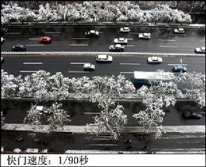 快门速度(数码相机参数)