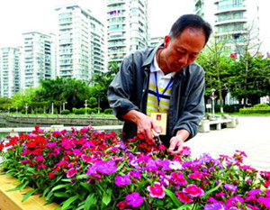 园林工程师(高级技术应用性专门人才)