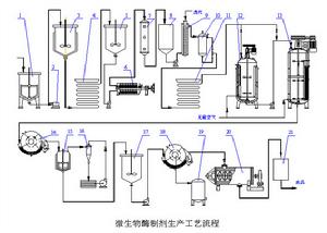 酶制剂(催化生产中的化学反应)