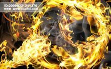 异火榜(《斗破苍穹》小说内容)