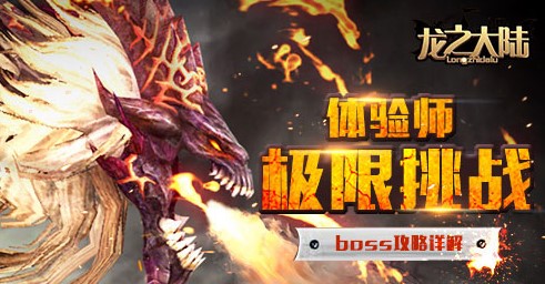 龙之大陆(渡口网络开发的一款2DMMORPG网游)