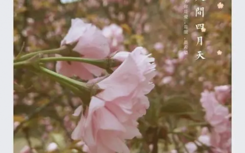 你是人间的四月天(林徽因创作的现代诗)