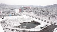 新罗大学(韩国私立大学)