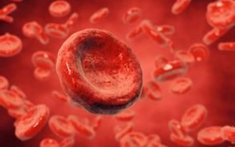 血液(流动在心脏和血管内的不透明红色液体)