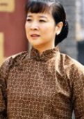 叶落长安(2011年姚晓峰执导的电视剧)