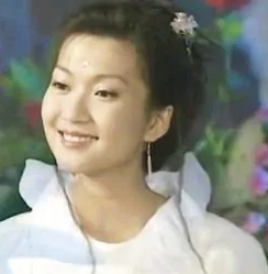 镜花缘传奇(1999年叶子菁、吴华新主演电视剧)