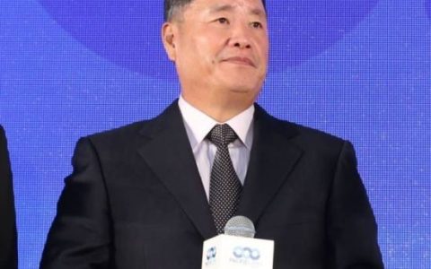 杜厦(中国天津家世界商业有限公司董事长)