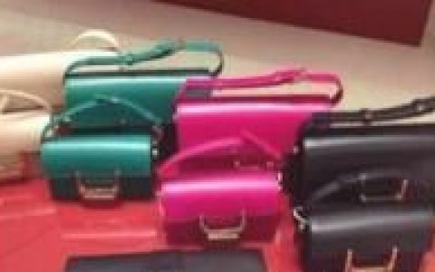 奢侈品(超出人们生存发展需要范围的消费品)