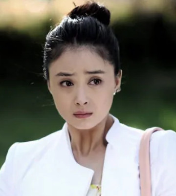 二胎(2014年庞好执导的电视剧)