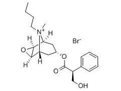 东莨菪碱(莨菪烷型生物碱)