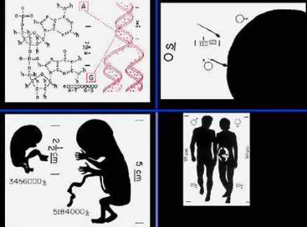 人类基因组计划(科学探索工程)