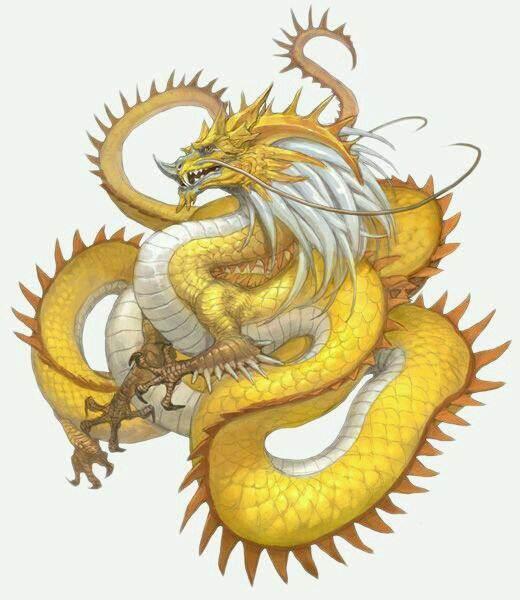 五爪金龙(皇家图腾象征)