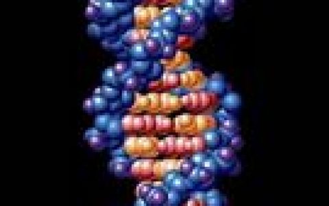 DNA双螺旋(生物遗传物质结构)