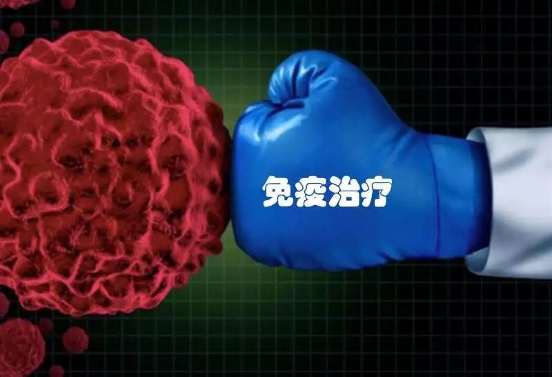 细胞免疫疗法(医学上的生物细胞疗法)