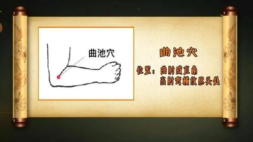 曲池(人体腧穴)