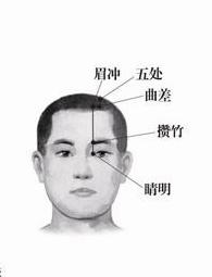 攒竹(经穴名)