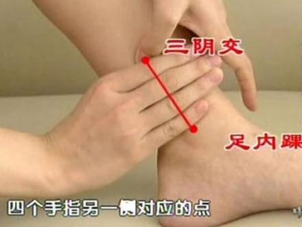 三阴交穴(身体穴位)