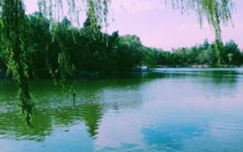 未名湖(北京大学内的人工湖)