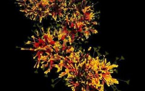 计算机病毒(破坏计算机功能或者毁坏数据)