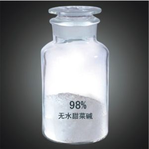 甜菜碱(碱性的化学物质)
